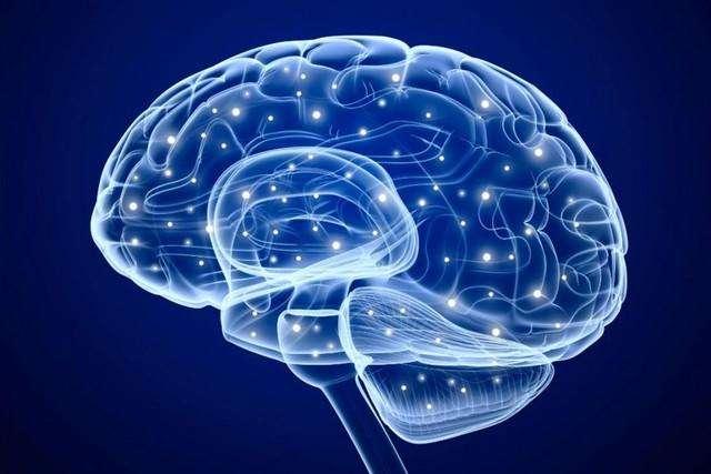 人类大脑是如何进行思考